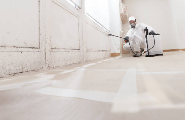 24/7 Emergency Attic Mold Removal experts in Marion, VA